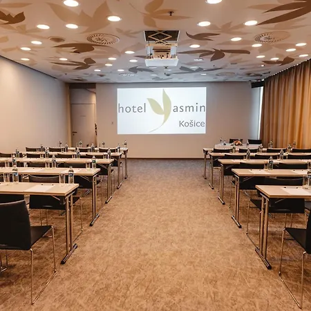 优思明科希策酒店